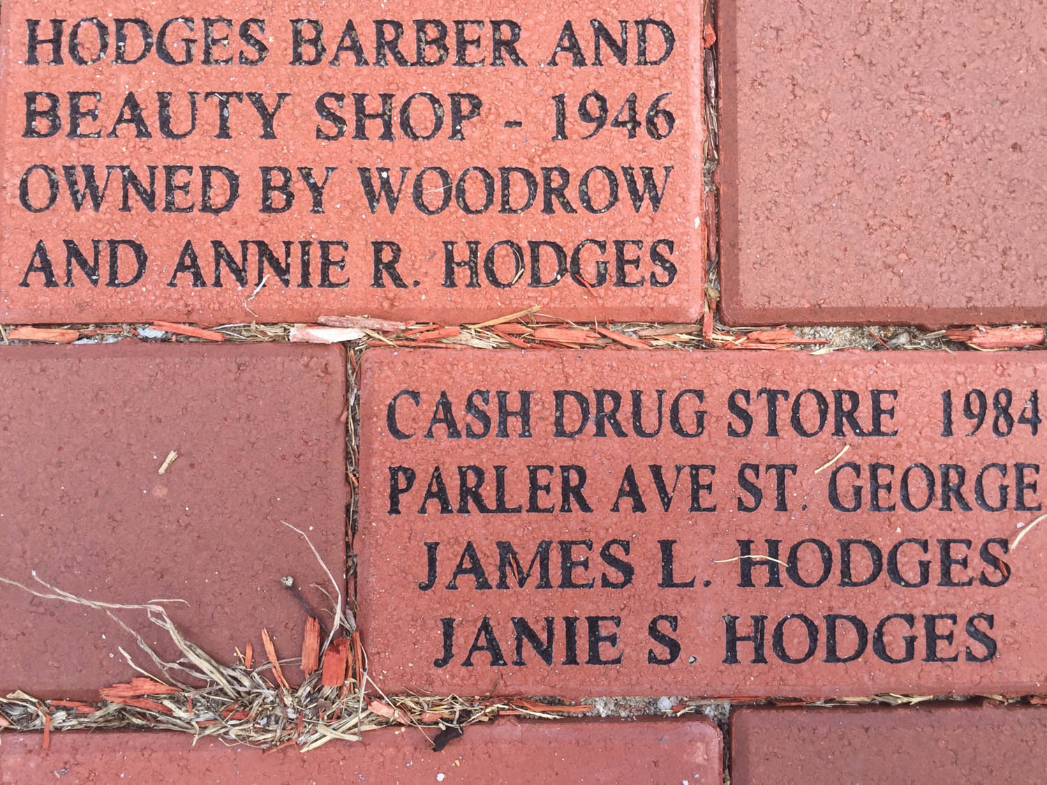 DR. JAMES HODGES